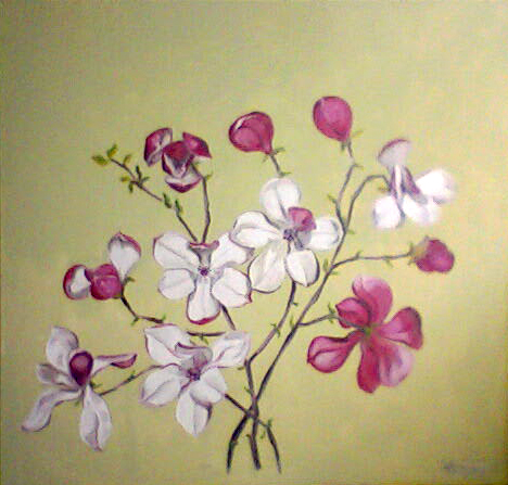 Magnolii I